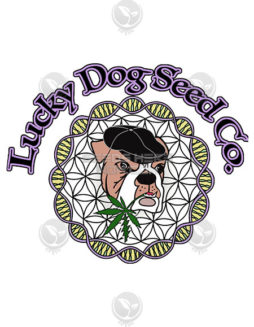 Lucky Dog Seed Company - Guerilla Fume {REG} [13pk]Cannarado-genetics-seeds