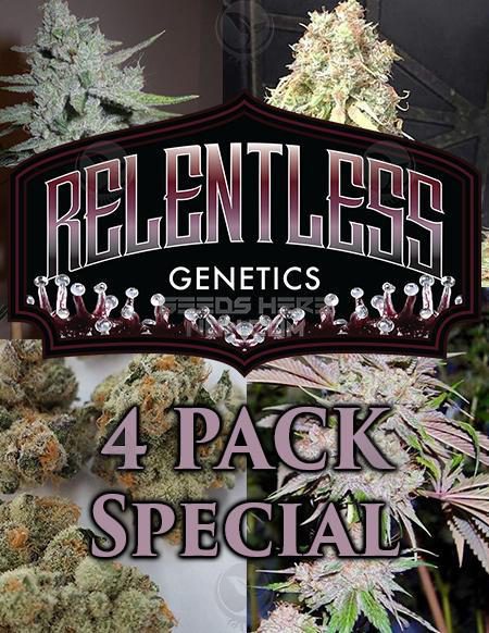 - Relentless Genetics - 4 Pack Special