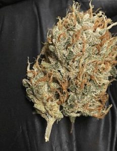 relentless-genetics-818og-haze_c1c92a22-3e55-4356-834e-0bb873ff3665.jpg