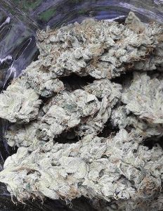 Relentless-genetics-cherry-cookie-haze_601ed4ea-ec63-47fc-a048-e408de13b540. Jpg
