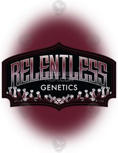 Frosted Cherry Cookies (feminized) - Relentless Genetics