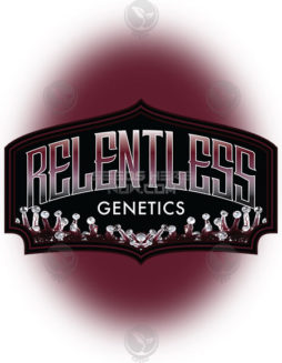Relentless Genetics - Agent Cheese {REG} [10pk]USA-seed-banks