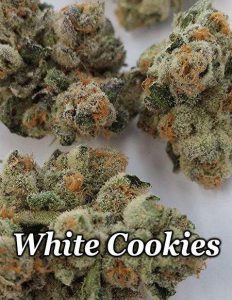 Relentless-genetics-white-cookies-feminized_ebbbf68a-df14-41f1-9a4e-ba435e3b815a. Jpg