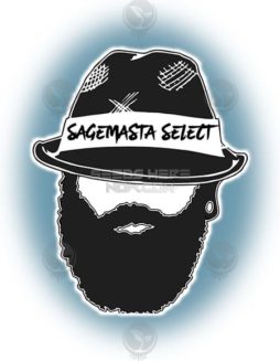 Sagemasta Select - Blockage {REG} [10pk]USA-seed-banks