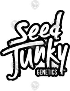 Kush Mints x Triangle Kush BX3 (Regular) - Seed Junky Genetics