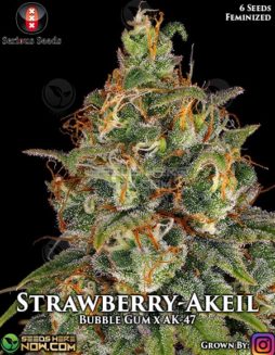 Serious Seeds - Strawberry-Akeil {FEM} [6pk]Serious-seeds-strawberry-akeil-fem