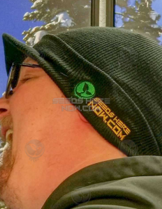 Billed Beanies (Regular) - SHN