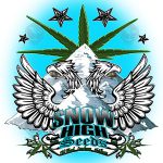 Burning Spear (Regular) - Snow High Seeds