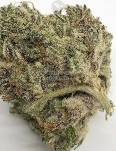 Solfire-gardens-the-gozer-og_0d7456e1-2c47-4a58-8542-ad6e8496f7db. Jpg