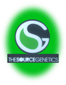 Source_straintile