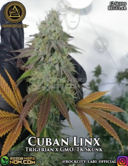 Swamp Boys Seeds - Cuban Linx {REG} [12pk]Buy-marijuana-seeds