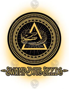 Honey Child (regular) - Swamp Boys Seeds