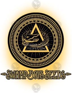Swamp Boys Seeds - Kush {REG} [12pk] RETIREDUSA-based-seed-banks