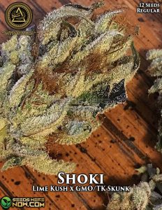 Shoki (regular) - swamp boys seeds