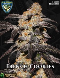 French cookies (feminized) - t. H. Seeds