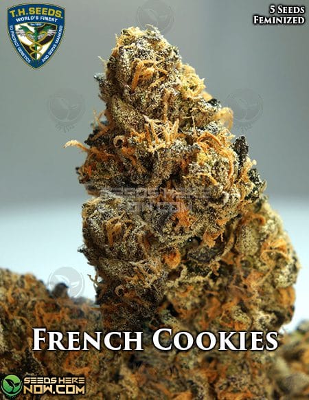 Th-Seeds-French-Cookies-3