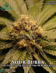 Sour Bubba (Feminized) (space) Katsu Seeds