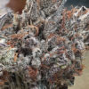 Sour Bubba (feminized) - Katsu Seeds