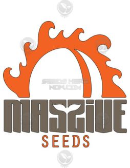 Massive Seeds - Rogue Punch Wreck {REG} [10pk]Autoflowering_feminized_seeds
