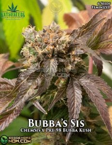 Bubba's Sis (Feminized) (space) Katsu Seeds