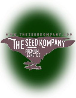 The Seed Kompany - LKG X Moroccan {REG} [12pk]