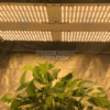 Prewired Kit 480w Quantum with Deep Red - Kb Lighting