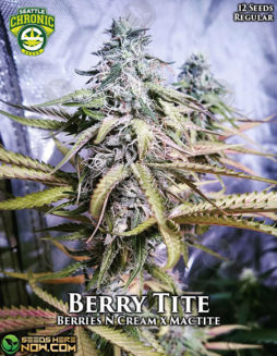 Seattle Chronic Seeds - Berry Tite {REG} [12pk]Usa-seed-banks