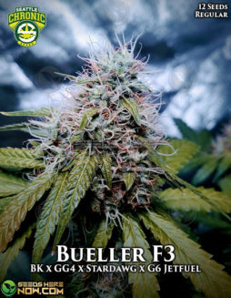 Seattle Chronic Seeds - Bueller F3 {REG} [12pk]Usa-seed-banks