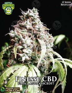 Bueller F3 (Regular) - Seattle Chronic Seeds