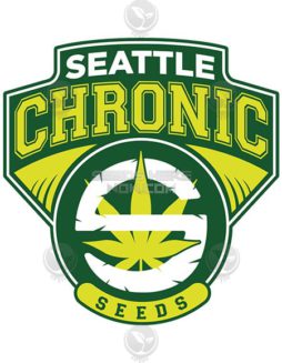 Seattle Chronic Seeds - Evasion {REG} [12pk]Autoflowering-feminized-seeds