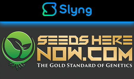 Seeds Here Now | More Than Just Seeds