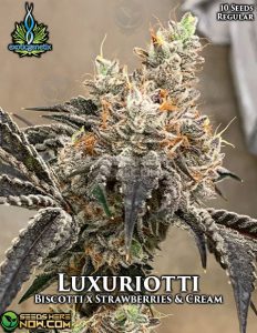Luxuriotti (Regular) - Exotic Genetix