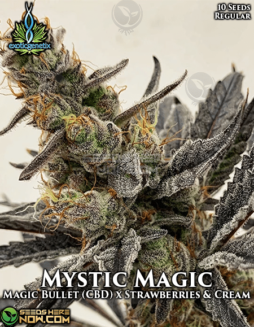 Exotic Genetix - Mystic Magic {REG} [10pk]Mystic Magic