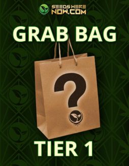Tier 1 Grab Bag
