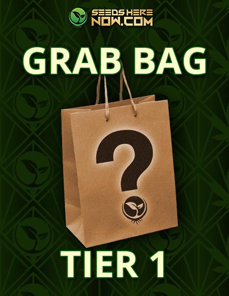 - Tier 1 Grab Bag