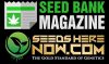 Seeds Here Now Article – Seed Bank Magazine