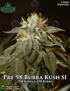 Pre 98 Bubba Kush S1 (feminized) - Katsu Seeds