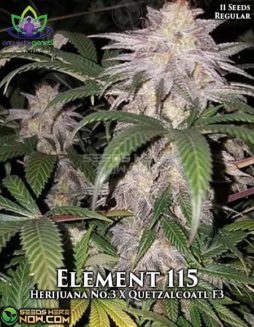 Omuerta Genetix - Element 115 {REG} [11pk]Autoflowering_feminized_seeds