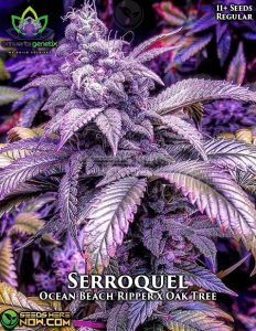 Serroquel f2 (regular) - omuerta genetix