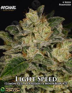 Light Speed (Feminized) - Archive Seed Bank
