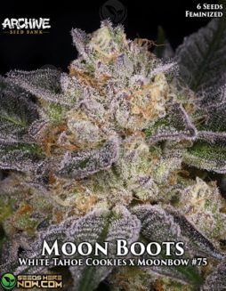 Archive Seed Bank - Moon Boots {FEM} [6pk]Marijuana seed banks