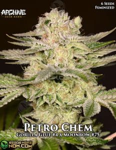 PetroChem (Feminized) - Archive Seed Bank