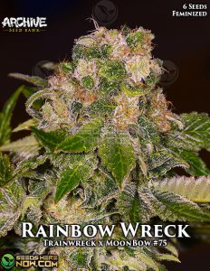 Rainbow Wreck (Feminized) - Archive Seed Bank