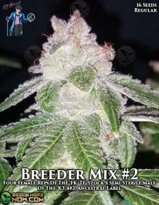 Breeders' Choice Mix #2 (regular) - Dj Short Seeds
