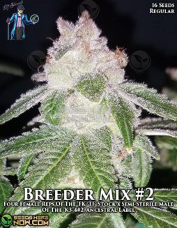DJ Short Seeds - Breeders' Choice Mix #2 {REG} [16pk]Dj-short-seeds-breeder-mix-2