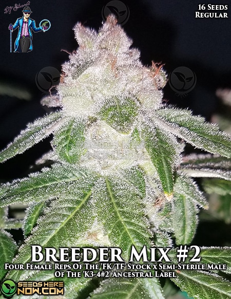 Dj-short-seeds-breeder-mix-2