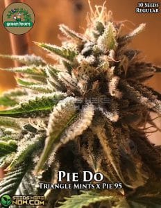 Pie do (regular) - green team genetics