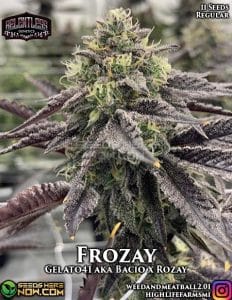 Frozay (regular) - Relentless Genetics