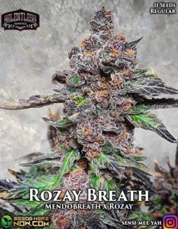 Relentless Genetics - Rozay Breath {REG} [10pk]Marijuana seed banks