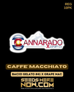 Caffe' Macchiato (Regular) - Cannarado Genetics
